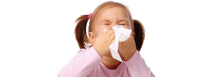 blog fielden allergies